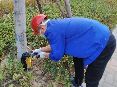 龙江预防白蚁公司园林植物防治白蚁的方法