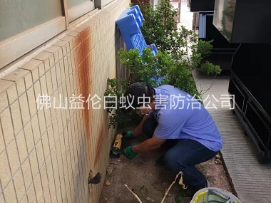 陈村投放灭鼠装置工程