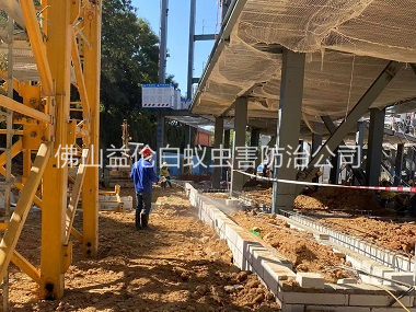 杏坛新建白蚁预防工程