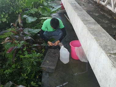容桂控制有害生物科普毒蛇与无毒蛇的区别