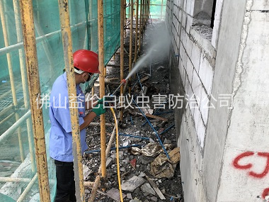 伦教建筑白蚁预防工程