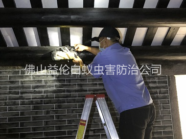 均安祠堂杀灭白蚁工程