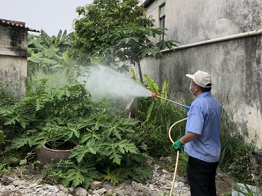 北滘病媒生物防控站防蚊灭蚊，专业消杀找益伦